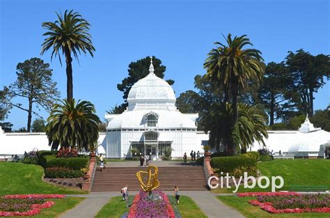 10 BEST Attractions at Golden Gate Park - CityBOP