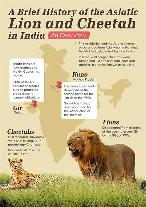 Top 158+ Why lion is not national animal of india - Merkantilaklubben.org