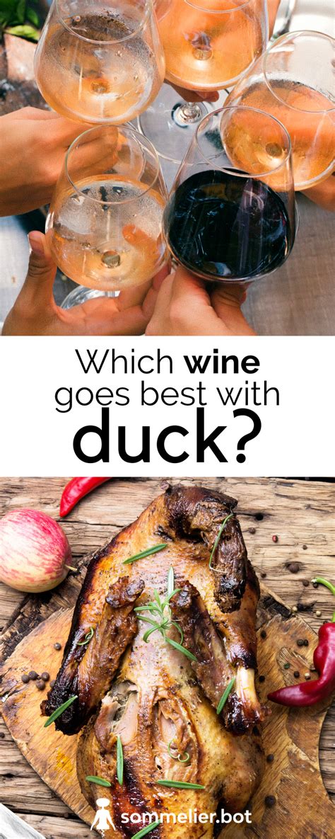 Which wine goes best with duck? | Wine pairing, Food pairings, Food