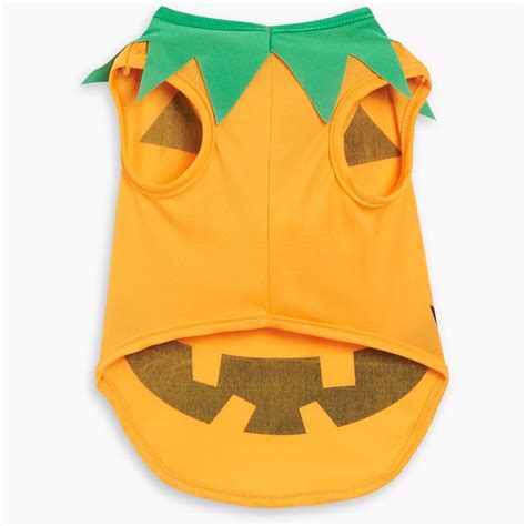 Character Dog Pumpkin Costume | SportsDirect.com Australia