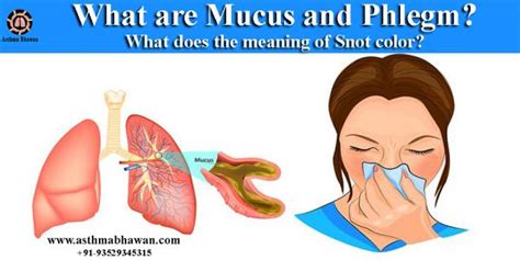 What are Mucus and Phlegm? Meaning of Snot Color