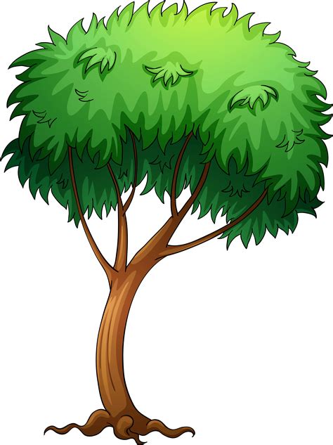 Pictures Of Trees Image - Tree Cartoon Png Transparent Clipart - Full ...