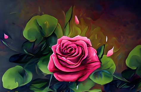 Pink Rose Art Print Free Stock Photo - Public Domain Pictures