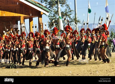 Naga tribe dance in hornbill festival ; Kohima ; Kisama village ; Nagaland ; North East ; India ...