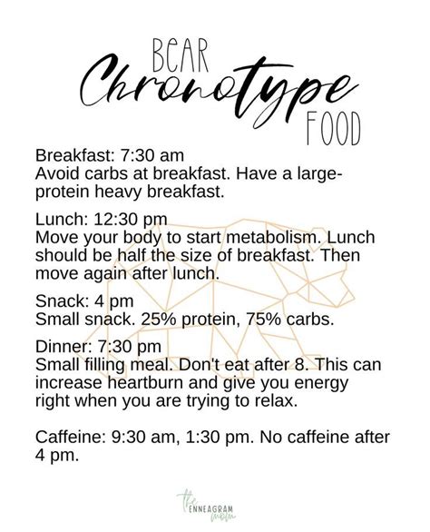 Bear Chronotype Eating Schedule in 2022 | Eating schedule, Metabolism, High protein breakfast