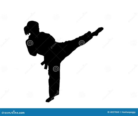 Silhouette Of Taekwondo Girl Royalty Free Stock Photos - Image: 4837068