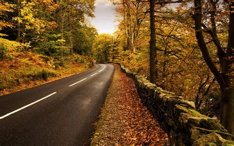 Autumn Road Wallpaper (2560x1600)