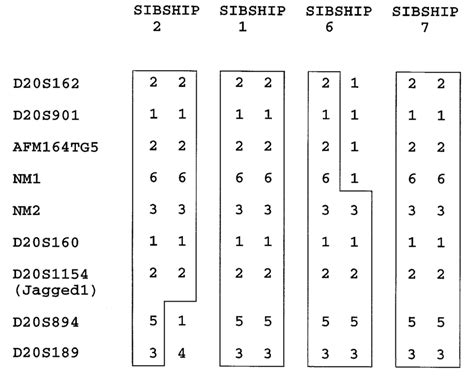 Haplotype analysis of affected persons. Using an affecteds-only ...