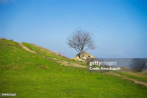 255 Jvari Monastery Stock Photos, High-Res Pictures, and Images - Getty ...