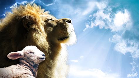 Lion Lamb Sky - Free photo on Pixabay