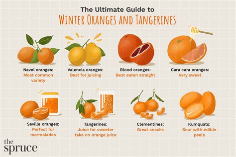 Tangerines and Winter Oranges