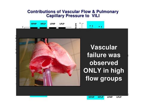 Ventilator Induced Lung Injury