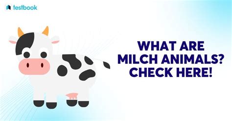 What are Milch Animals? Check Domestication, Shelter, Ans Here