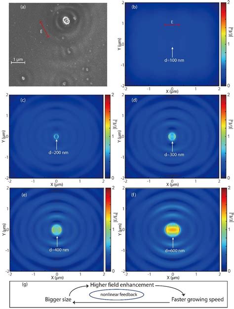 Figure S3. (a) SEM image of laser-produced nanoparticles and... | Download Scientific Diagram