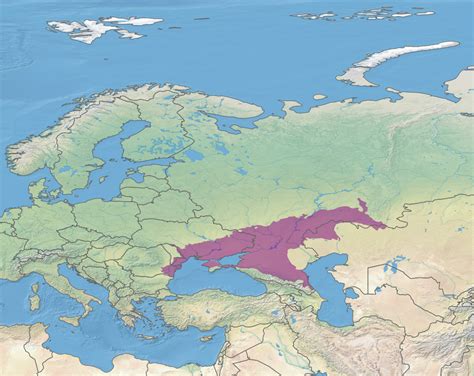 yamnaya culture map | Steppe, Biomes, Map