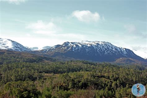 Glen Affric Photo Essay - The Little Backpacker