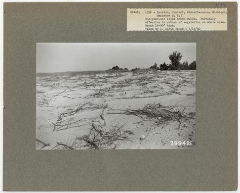 Wind Erosion Control - All States, National Forest Service photograph ...