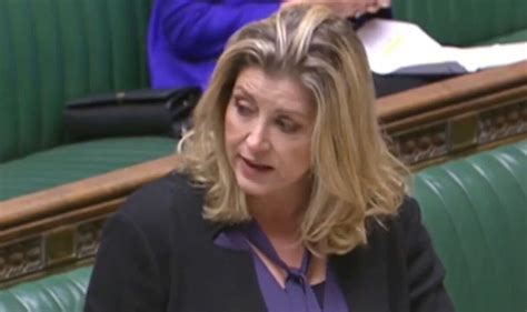 Penny Mordaunt erupts at 'absolutely insane' new 20mph speed limit in Wales | Politics | News ...