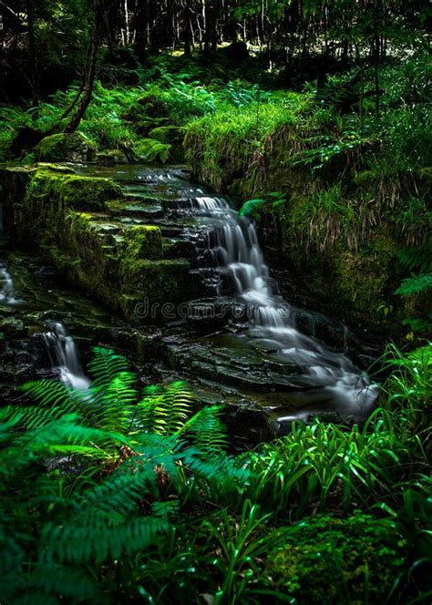 Small Long Exposured Creek with Waterfall in Mystic Forest Near ...