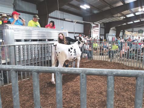 New records set at Washington County Fair Livestock Sale | News, Sports ...