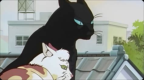 Dark Cat: Why does the Dark Cat anime remain one of the biggest flops as an original series ...