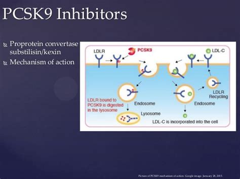 PCSK9 Inhibitors