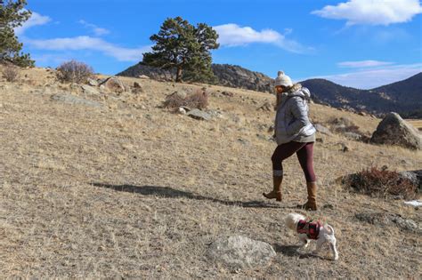 Pet-Friendly Travel: A Colorado Road Trip with Dogs — Camels & Chocolate