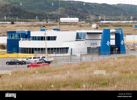 The Marine Atlantic / Marine Atlantique ferry terminal at Argentia for ...