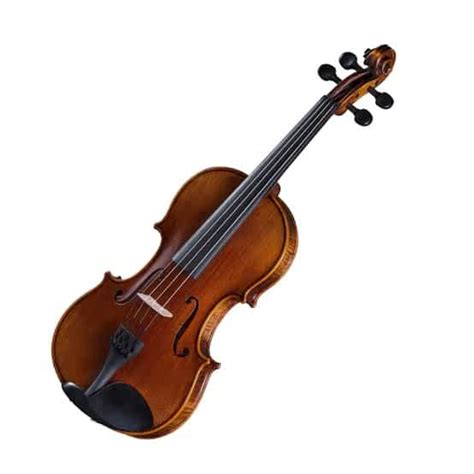 The Ultimate Guide To The Best Violin Brands | Ted's List