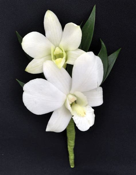 Dendrobium White Orchids Boutonniere - Prom Corsage