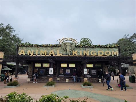 Why Disney's Animal Kingdom Is A Full-Day Park - DVC Shop