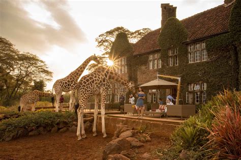 Giraffe Manor - Kenya Aardvark Safaris