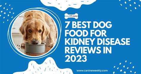 7 Best Dog Food for Kidney Disease Reviews in 2023