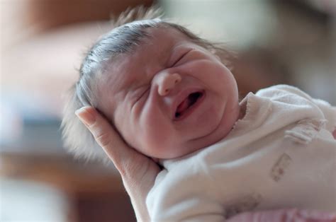 Annelise | newborn baby girl | Melissa Austin | Flickr