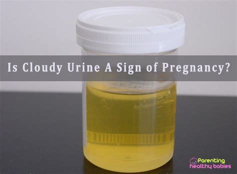 Is Cloudy Urine A sign of Pregnancy?