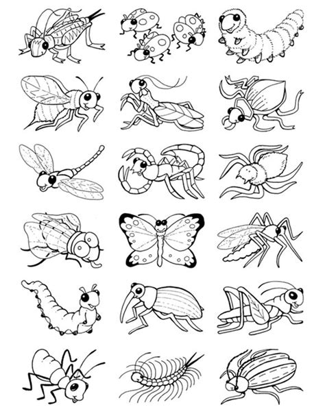 Welcome to Dover Publications | Insect coloring pages, Bug coloring ...