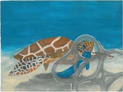 2012/2013 Winners of NOAA's Marine Debris Program Art Contest - Claire ...