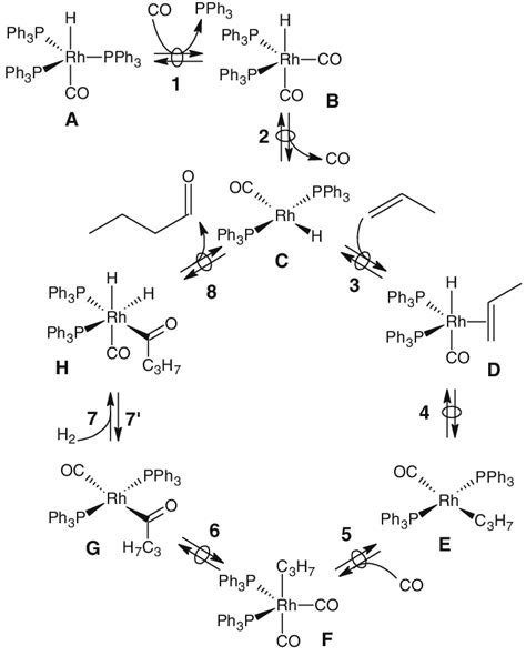 Scheme 2 Proposed mechanism for the homogeneous hydroformylation of propene | Download ...