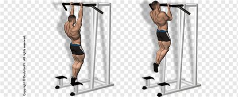 Pull-up Weight training Chin-up Horizontal bar Fitness Centre, Delta Blues, physical Fitness ...