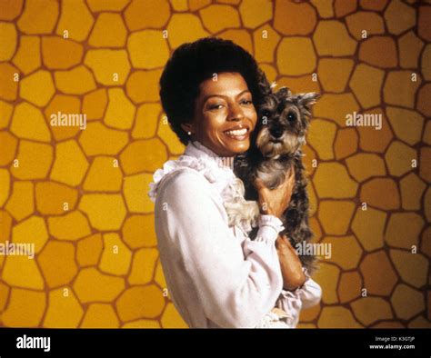 THE WIZ DIANA ROSS as Dorothy Date: 1978 Stock Photo - Alamy