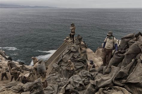 Inside the grim, lucrative bird-poop industry of Peru - Washington Post