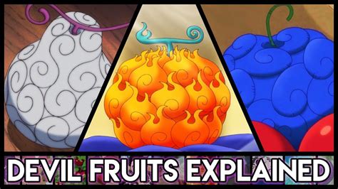 Different Types of Devil Fruits Explained - Abagail-has-Snyder