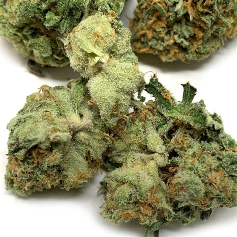 Buy Orange Kush Online In Canada - Pacific Grass