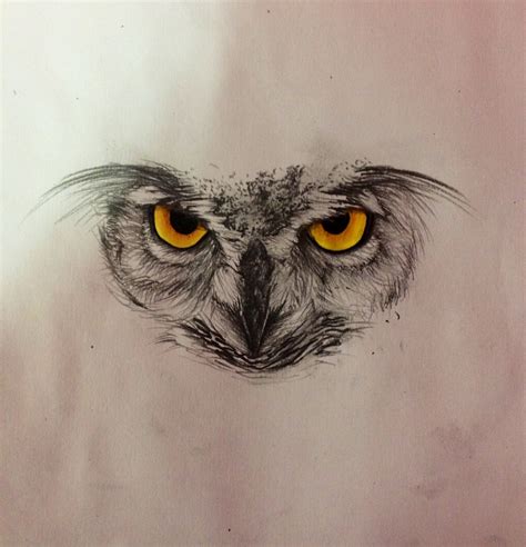 Owl Face Drawing at GetDrawings | Free download