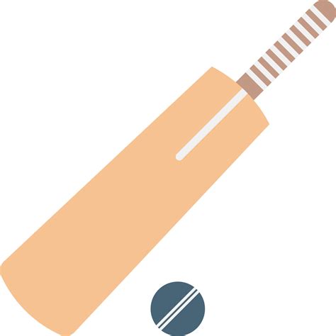 Cricket icon vector image. 24230856 Vector Art at Vecteezy