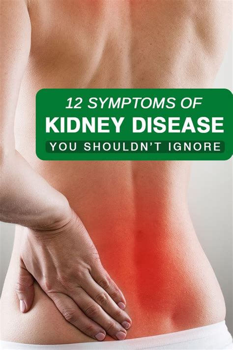 Where Is Kidney Pain Felt In The Back - HealthyKidneyClub.com