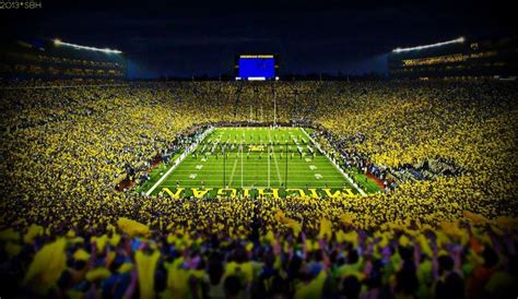 Under The Lights! | Michigan football, Soccer field, Under the lights