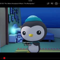 Peso Penguin/gallery | Octonauts Wiki | FANDOM powered by Wikia