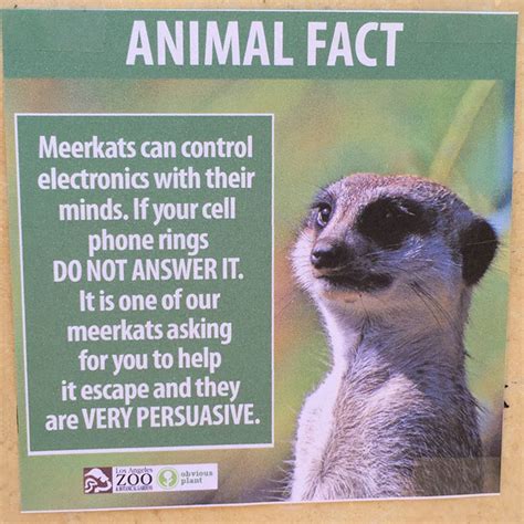 Prankster leaves hilarious fake animal facts all over zoo