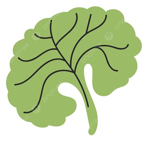 Hand Drawn Green Leaf Element Icon Vector, Icon, Element, Ornament PNG and Vector with ...